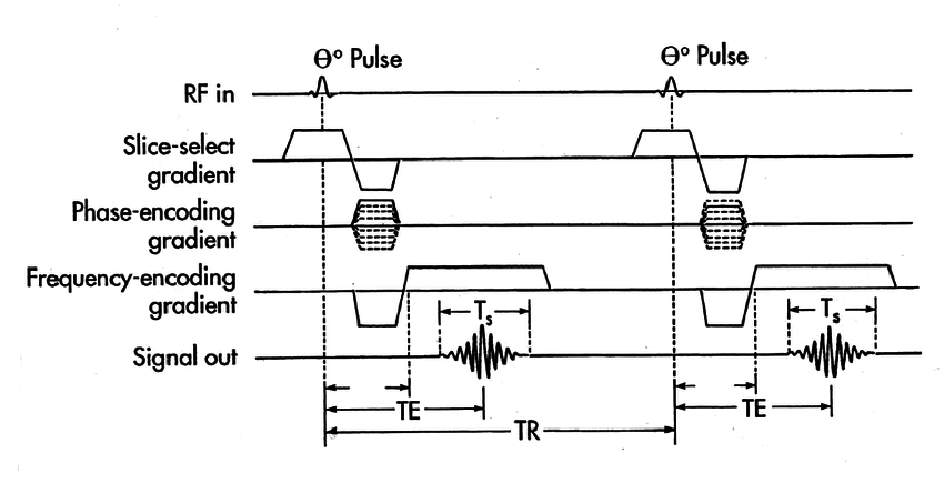 gradient recalled echo signals sequence