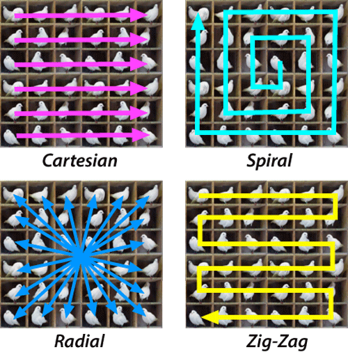 Shows different paths for collecting all of K-space. Top left is cartesian which is like reading, top right is spiral, bottom left is radial which is multiple lines going outwards from the centre, bottom right is zig-zag which is snaking across K-space