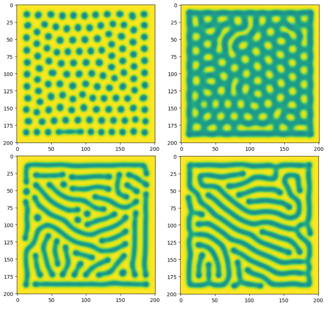 Selection of Turing patterns generated using the code and varying the f and k parameters